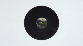 Vinyle du field recording 