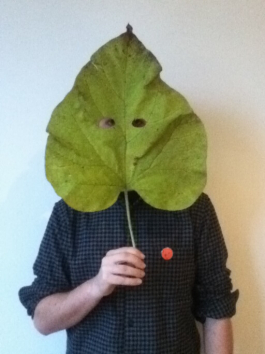 thibault jehanne