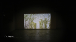 Projection de la vidéo 