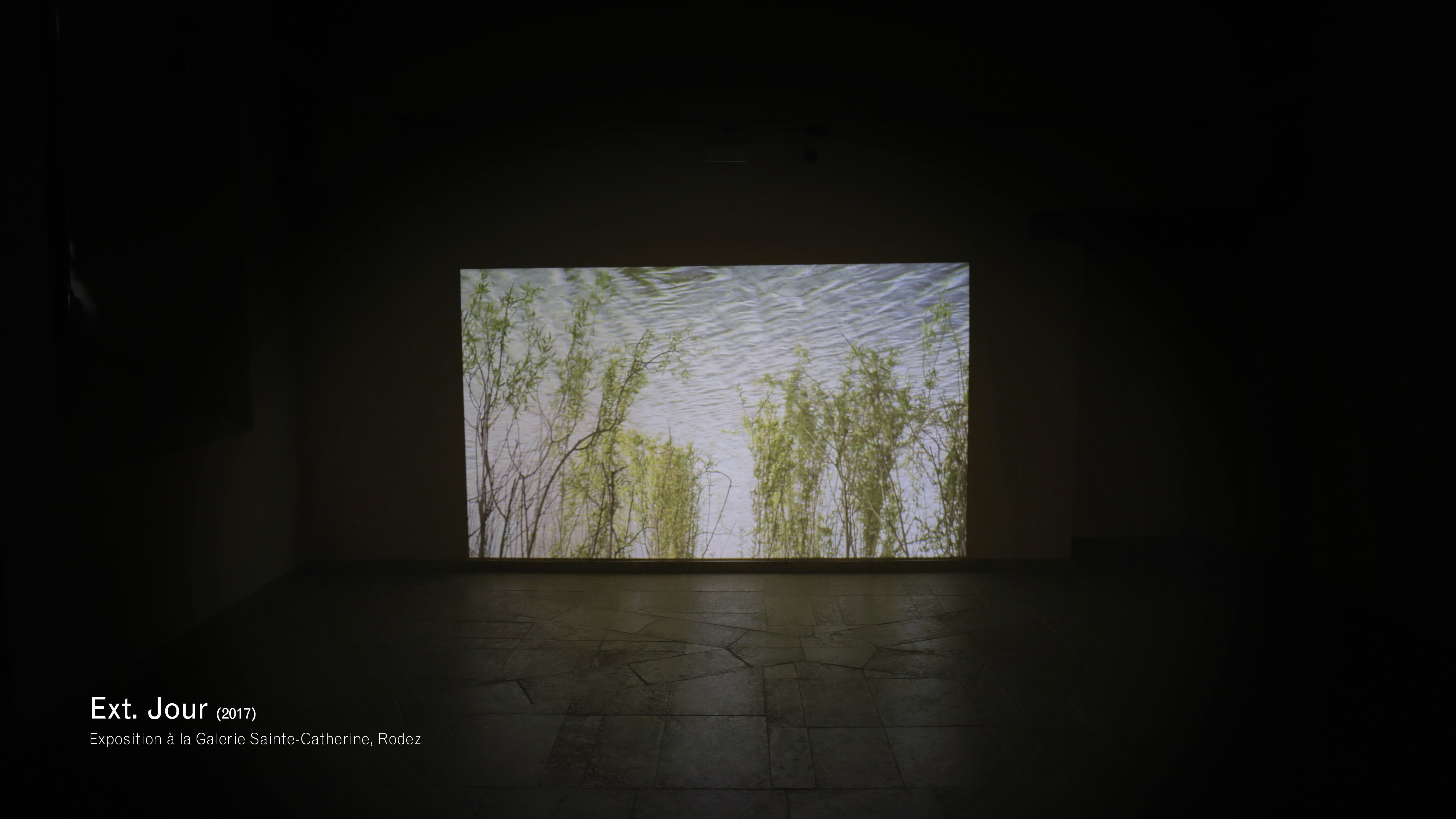 Projection de la vidéo