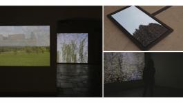 Projection des vidéos 