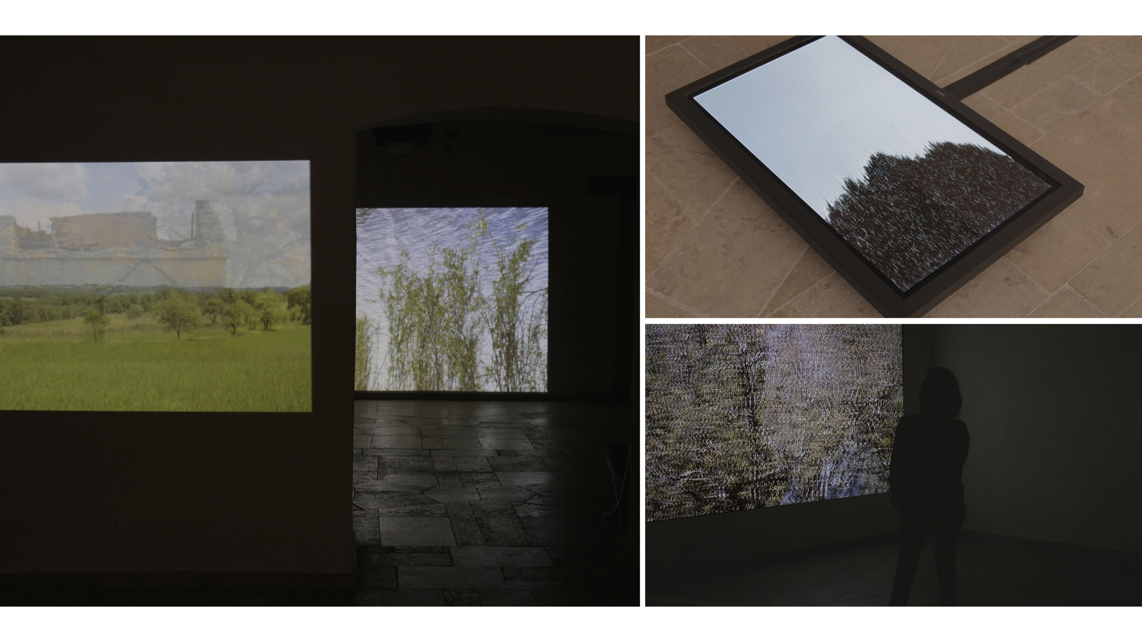 Projection des vidéos