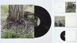 Vinyle du field recording 